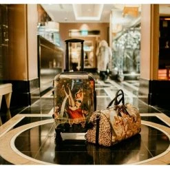 Myrtle & Mary Sales Shop -Myrtle & Mary Sales Shop wbpuenloga6c8pytaqjx